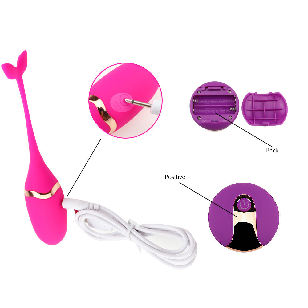 Huevo Vibrador con Control Remoto — Dolphin Wireless